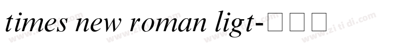 times new roman ligt字体转换 times new roman ligt字体转换